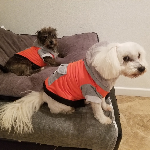 Meet your Posher, Mayra - Picture 7 of 10